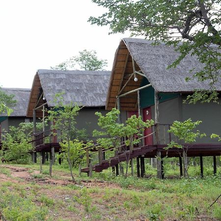 Lion Roars Lodge Lesoma Экстерьер фото