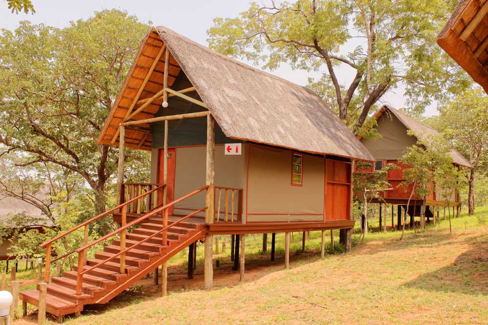 Lion Roars Lodge Lesoma Экстерьер фото