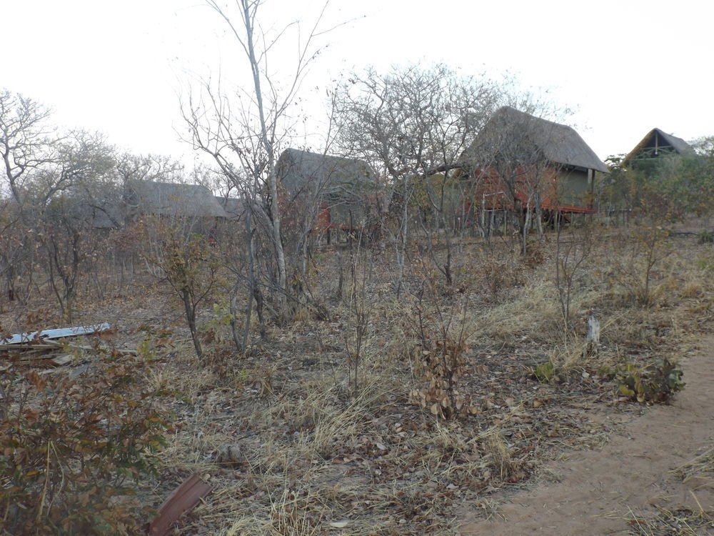 Lion Roars Lodge Lesoma Экстерьер фото
