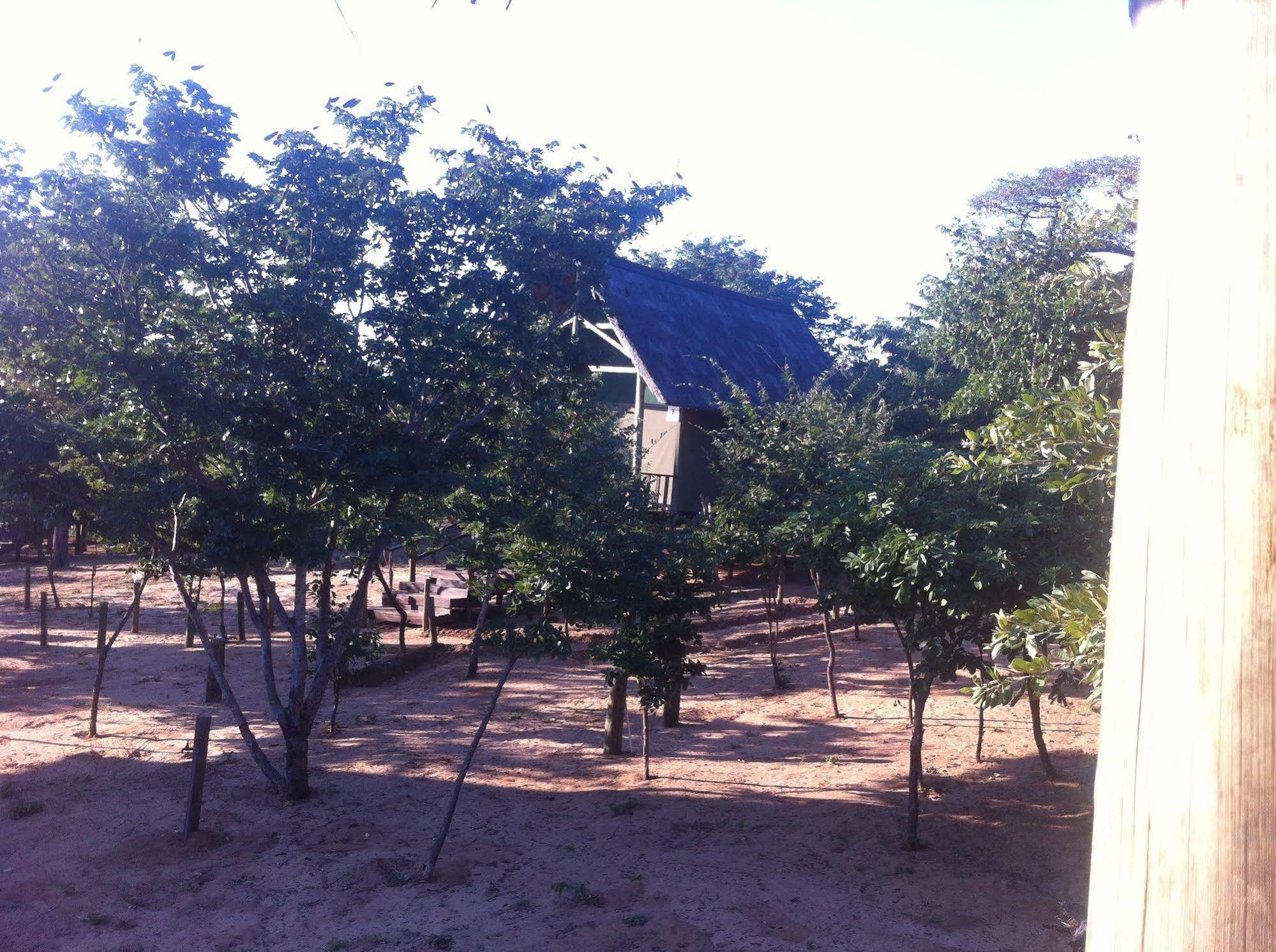 Lion Roars Lodge Lesoma Экстерьер фото