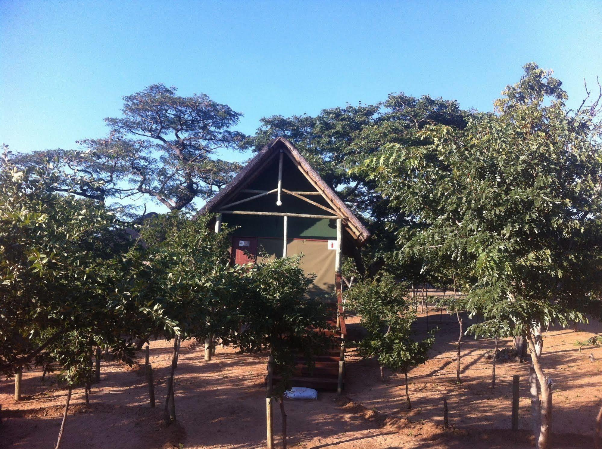 Lion Roars Lodge Lesoma Экстерьер фото