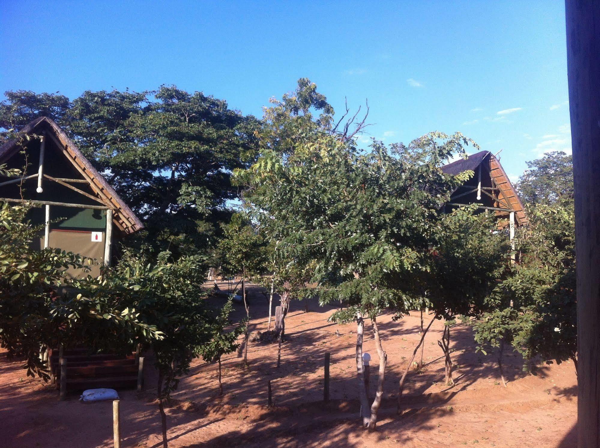 Lion Roars Lodge Lesoma Экстерьер фото