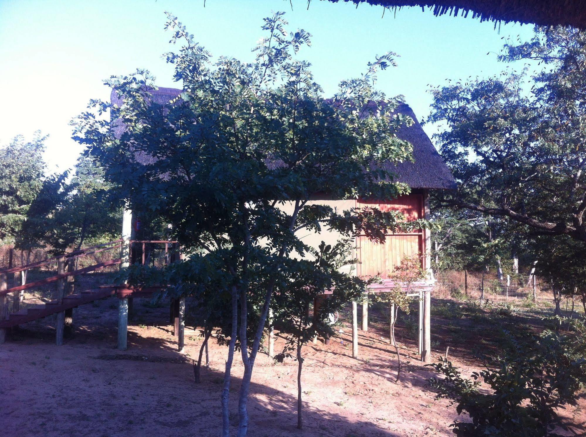 Lion Roars Lodge Lesoma Экстерьер фото