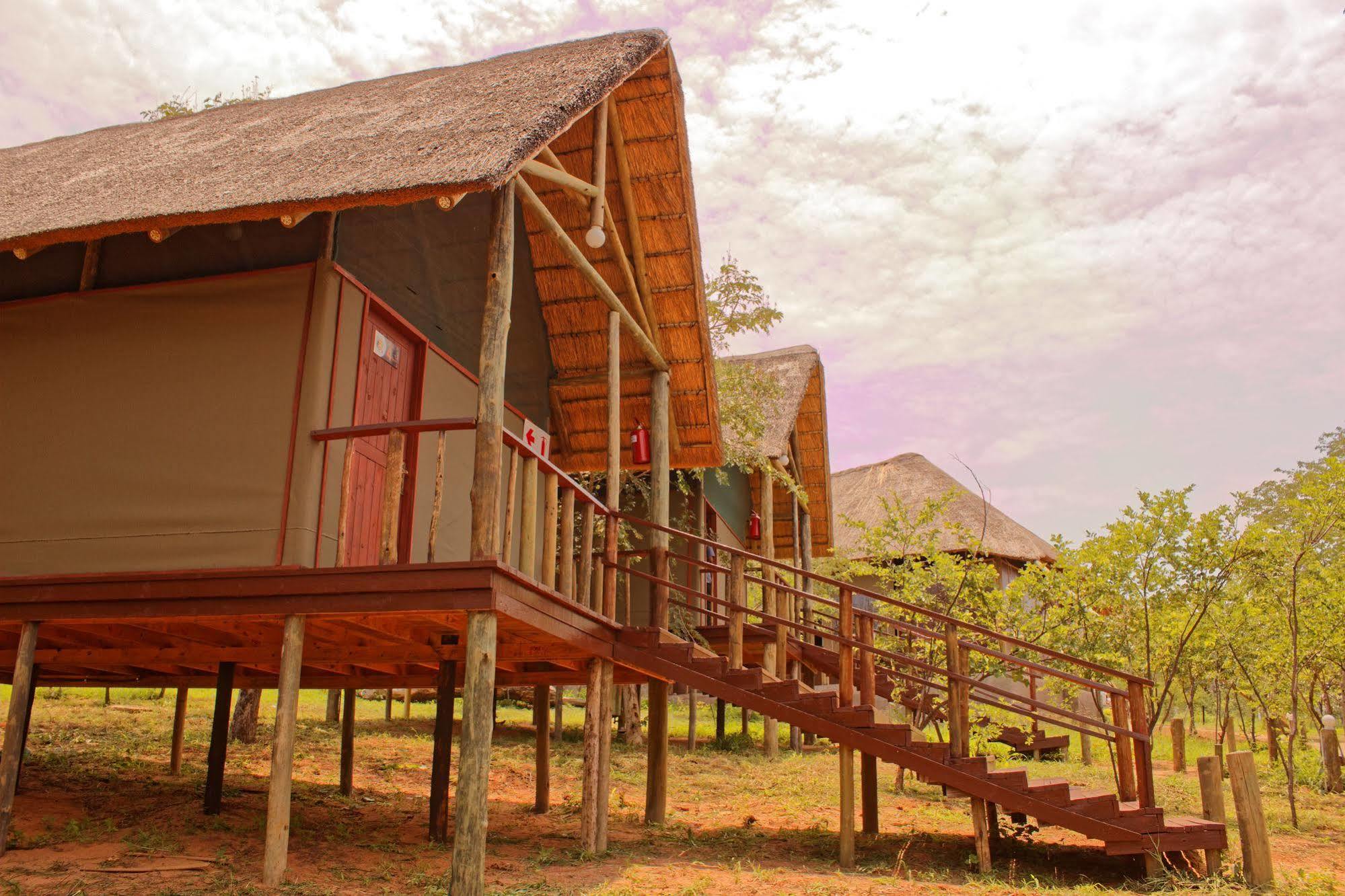 Lion Roars Lodge Lesoma Экстерьер фото