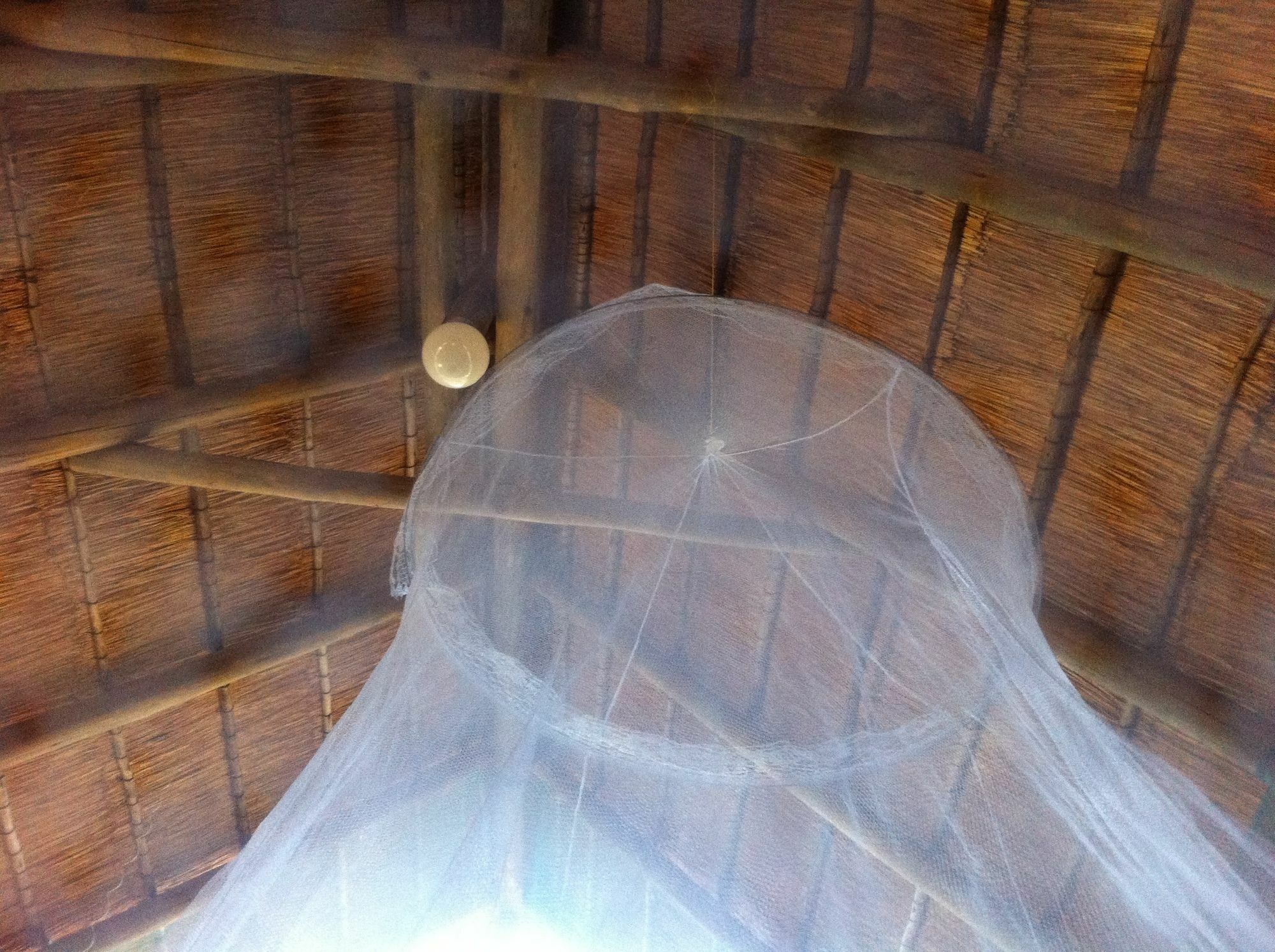 Lion Roars Lodge Lesoma Экстерьер фото