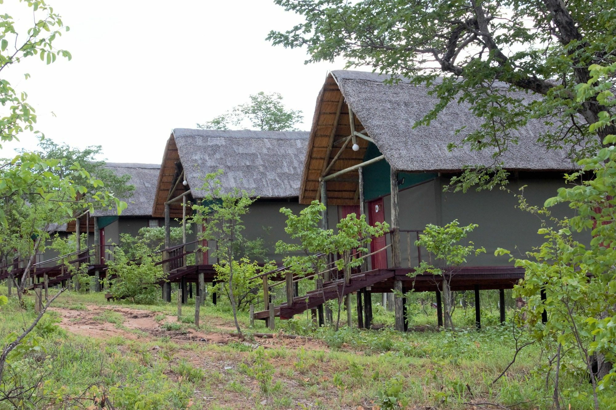 Lion Roars Lodge Lesoma Экстерьер фото